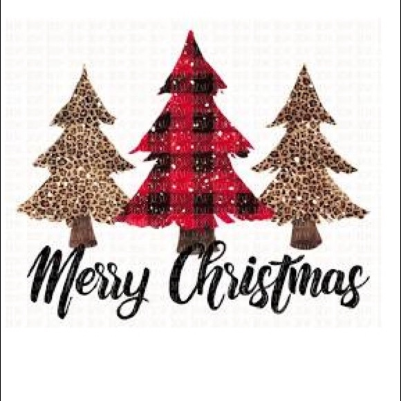 Meet your Posher, Maddison - Picture 10 of 12